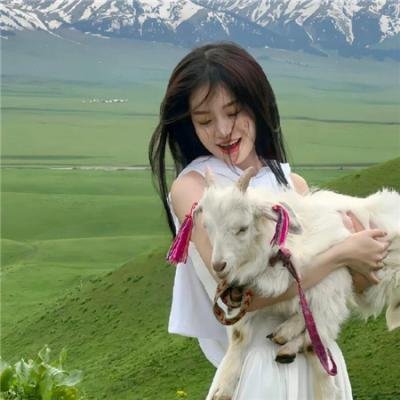 犹如故人来